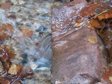 das klare Wasser des Silberbrünnchens in Michelstadt